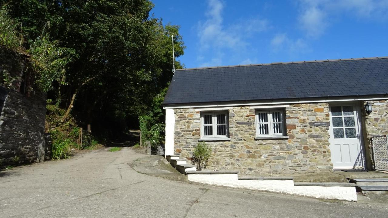 Wild Coastal Retreat At Troed Y Rhiw Aberporth, West Wales Βίλα Εξωτερικό φωτογραφία
