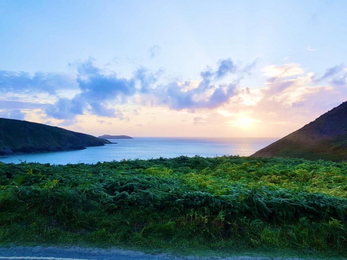 Wild Coastal Retreat At Troed Y Rhiw Aberporth, West Wales Βίλα Εξωτερικό φωτογραφία